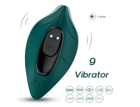 Leavess Green, 9 vibration functions - 2