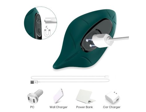 Leavess Green, 9 vibration functions - 3