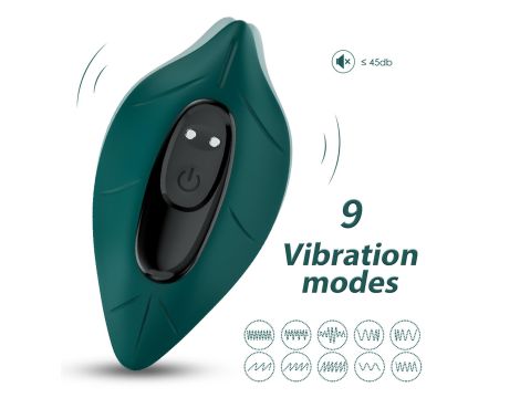 Leavess Green, 9 vibration functions - 8