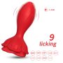 Rosenberg Red, 9 vibration functions - 6