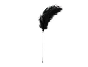 Pejcz-Black Feather Tickler - image 2