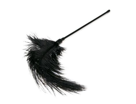 Pejcz-Black Feather Tickler - 3