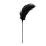 Pejcz-Black Feather Tickler - 3