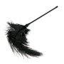 Pejcz-Black Feather Tickler - 4