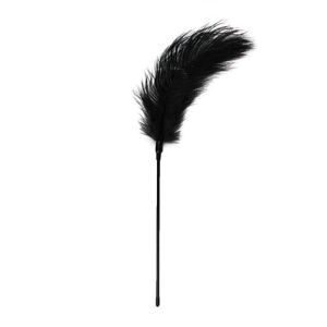 Pejcz-Black Feather Tickler - image 2