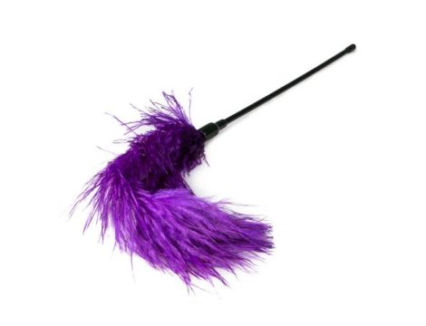 Pejcz-Purple Feather Tickler - 3