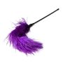 Pejcz-Purple Feather Tickler - 4