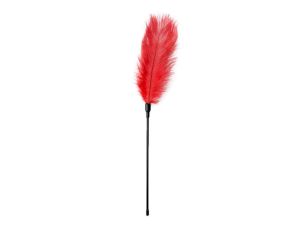 Pejcz-Red Feather Tickler - image 2