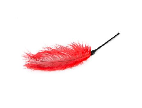 Pejcz-Red Feather Tickler - 3