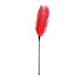 Pejcz-Red Feather Tickler - 3