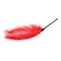 Pejcz-Red Feather Tickler - 4