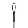 Black Whip - 42,5 cm - 6