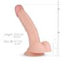 Dildo-Derek Realistic Dildo - 5