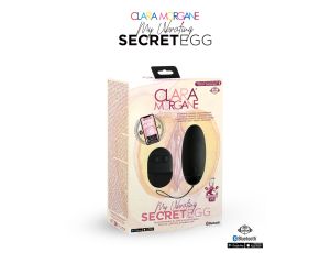 My Vibrating Secret EGG Black - App controlled - image 2