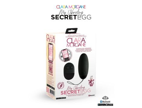 My Vibrating Secret EGG Black - App controlled