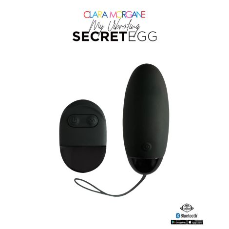 My Vibrating Secret EGG Black - App controlled - 5