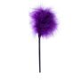 Feather Tickler Purple - B - Series Fetish - 2