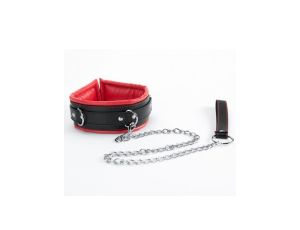 Red Collar And Leash