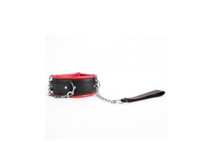 Red Collar And Leash - image 2