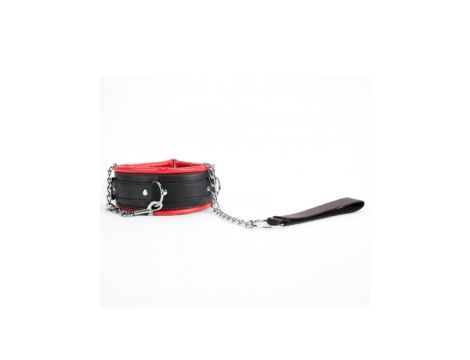 Red Collar And Leash - 2