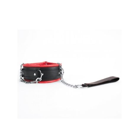 Red Collar And Leash - 2