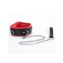 Red Collar And Leash - 2