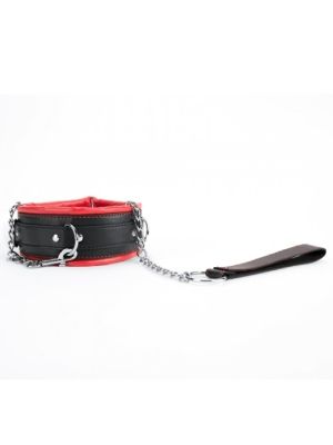 Red Collar And Leash - image 2