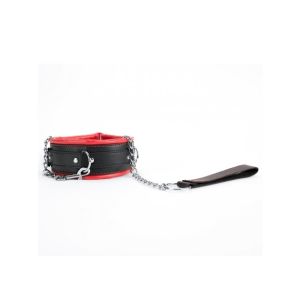 Red Collar And Leash - image 2