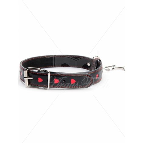 Hearts Collar And Leash - 2