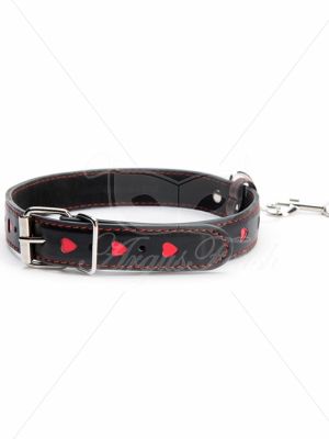 Hearts Collar And Leash - image 2