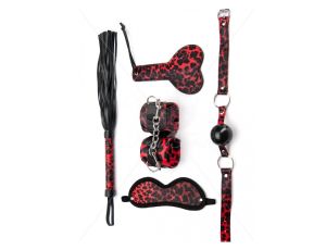 5 Pieces Leopard Bondage Set - image 2