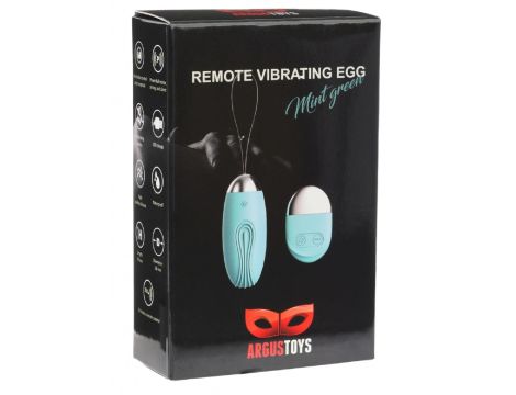 Remote Vibrating Egg Mint Green