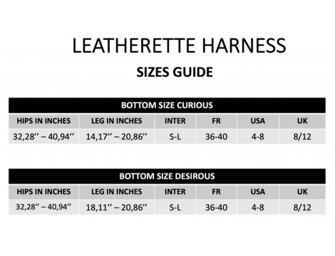 LEATHERETTE HARNESS CURIOUS - 11