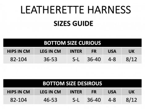 LEATHERETTE HARNESS CURIOUS - 12