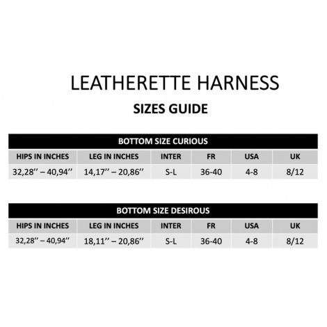 LEATHERETTE HARNESS CURIOUS - 11