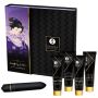 Naughty Geisha Kit - 2