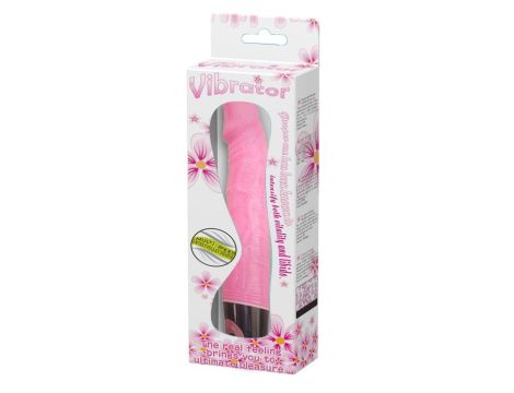 BAILE - Vibrator MULTI- SPEED