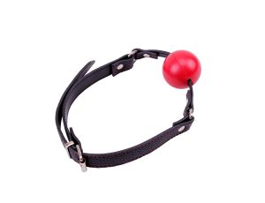 Red Ball Gag - image 2