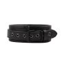 Deluxe Leather Collar - 4