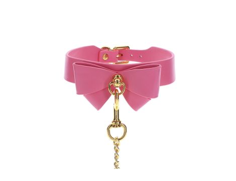 Collar and Leash Pink - 5