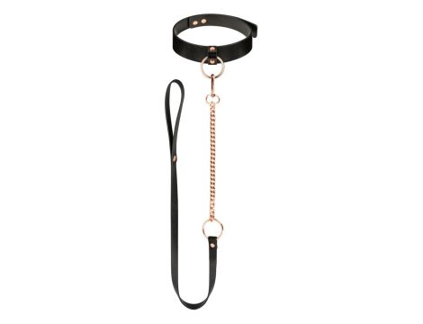 Rosy Gold - Collar with Leash - Black