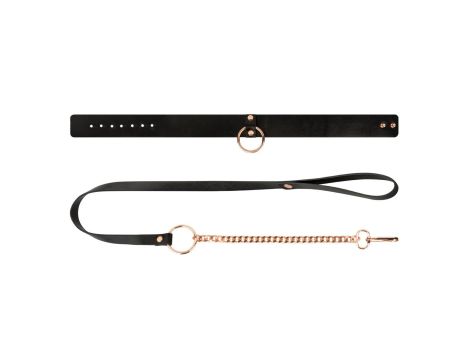 Rosy Gold - Collar with Leash - Black - 5