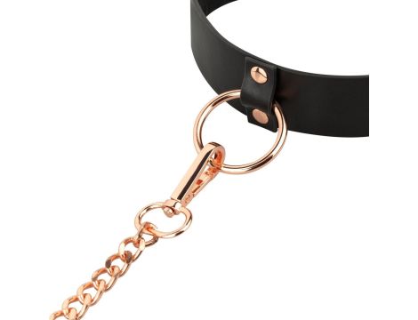 Rosy Gold - Collar with Leash - Black - 6