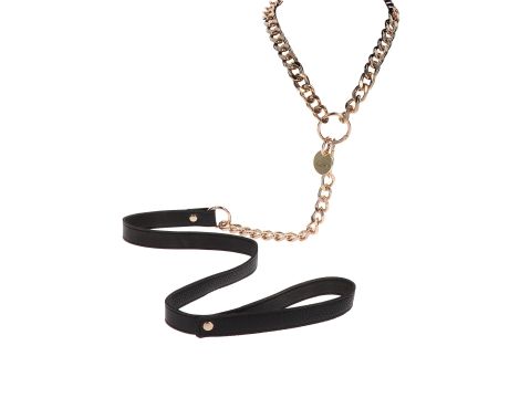 Statement Collar and leash Rose Gold - 3