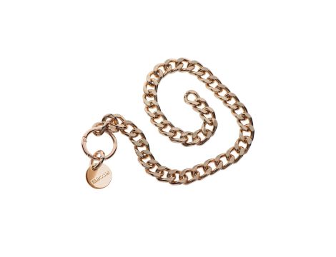 Statement Collar and leash Rose Gold - 7