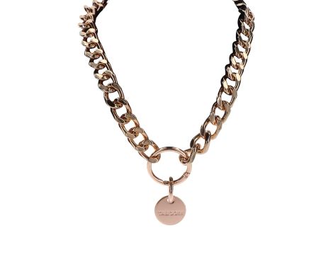 Statement Collar and leash Rose Gold - 8