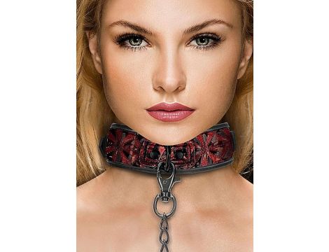 Luxury Collar with Leash - Burgundy