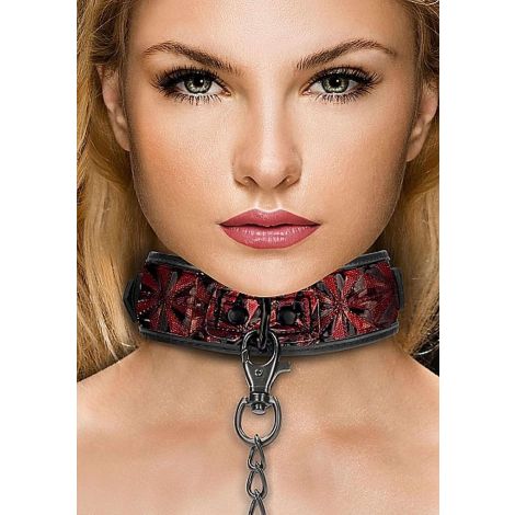 Luxury Collar with Leash - Burgundy