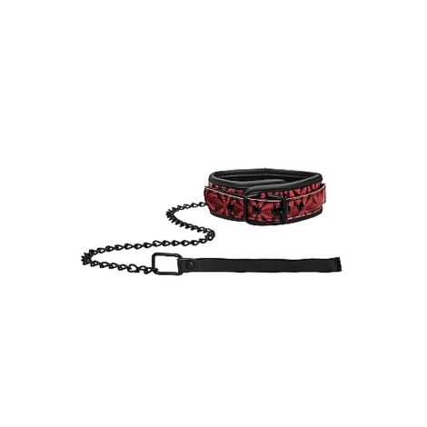 Luxury Collar with Leash - Burgundy - 2