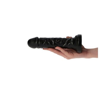 Dildo- Camillo Black - 6